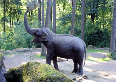 Vidéo sur le Zoo de Phoenix Park – Dublin